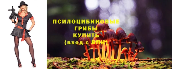 гидропоника Горняк