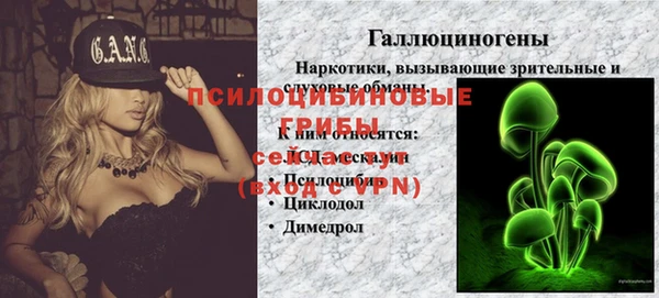 прущий лед Горно-Алтайск