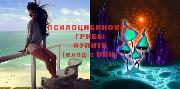 гидропоника Горняк