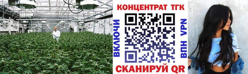 ТГК THC oil  Купить закладки  Лыткарино 