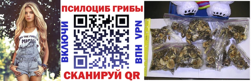 Галлюциногенные грибы Magic Shrooms  Купить  Лыткарино 
