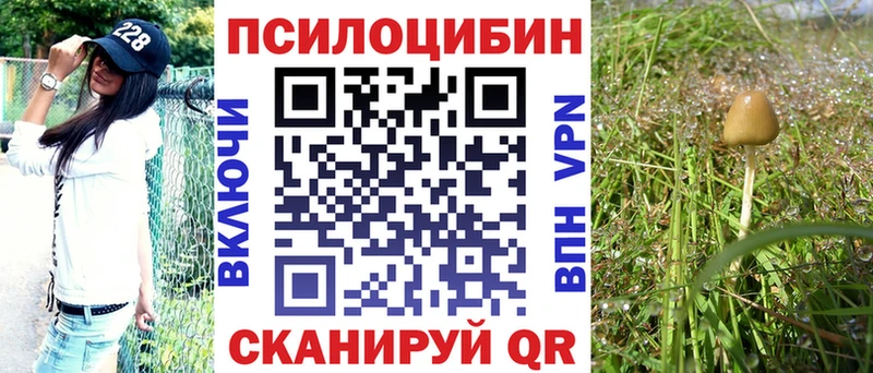 Псилоцибиновые грибы Magic Shrooms Лыткарино