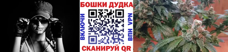 Купить  Лыткарино  Канабис Ganja 